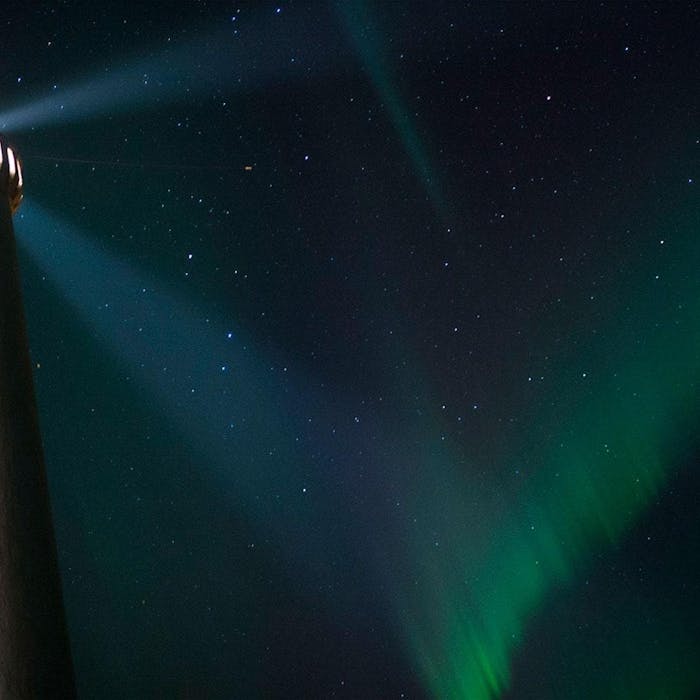 Northern Lights Tours Gray Line Iceland