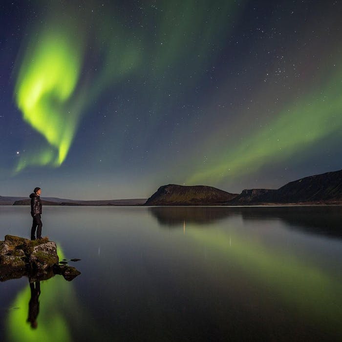 Northern Lights Tours Gray Line Iceland