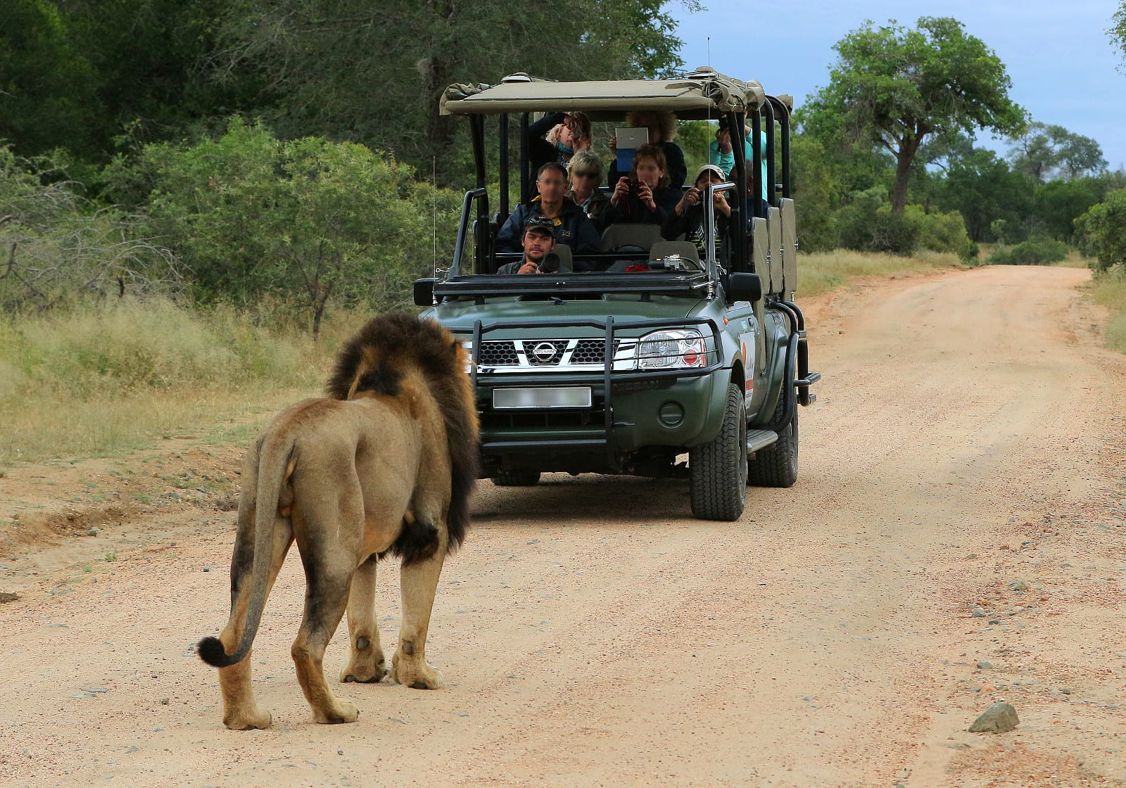 Kruger National Park Specials