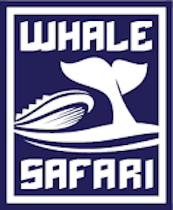 Whale Safari Guides