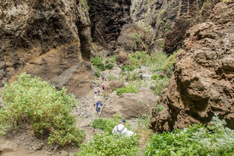 top-five-things-to-do-in-tenerife-masca-gorge-hiking-daytrip4u